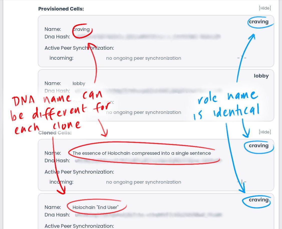 A screenshot of the Launcher showing the cells in a hApp. In this case, there are cloned cells, and the DNA name for each clone differs from the original DNA name and the role name.